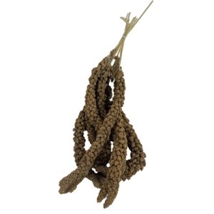Trosgierst Chinees 15 kg