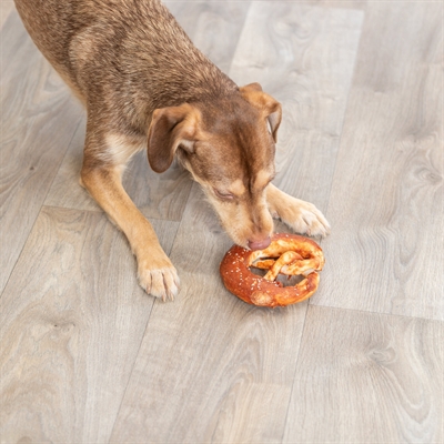 Trixie Denta Fun Pretzels Eend 10 cm