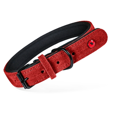 Zolux Expert Halsband Hond Premium Leer / Neopreen Rood